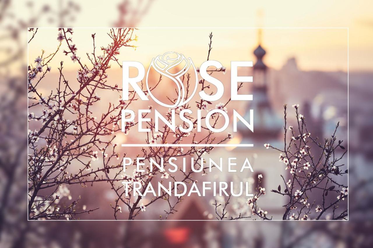 Pension Rose-Trandafirul Borsec Exteriér fotografie