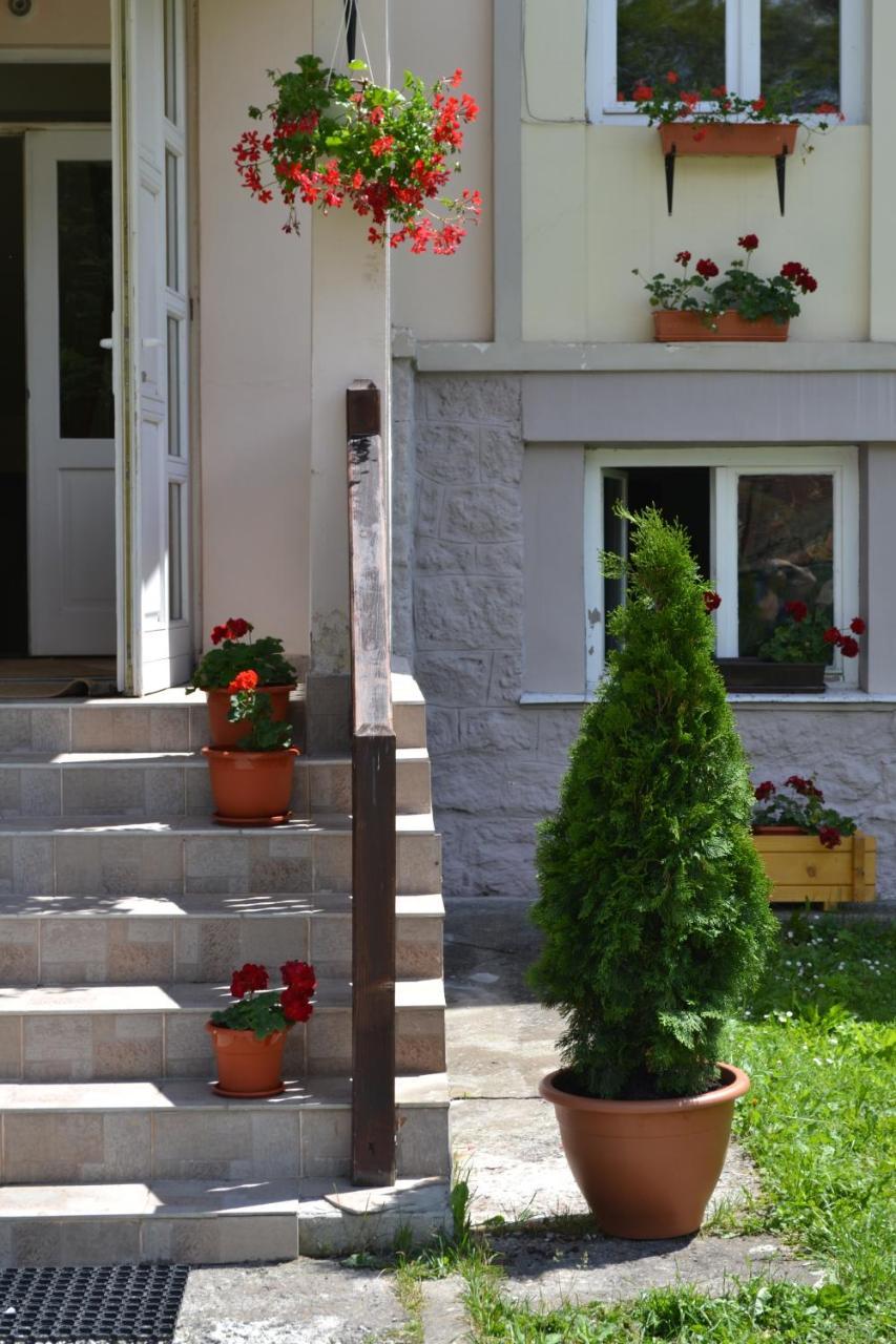 Pension Rose-Trandafirul Borsec Exteriér fotografie
