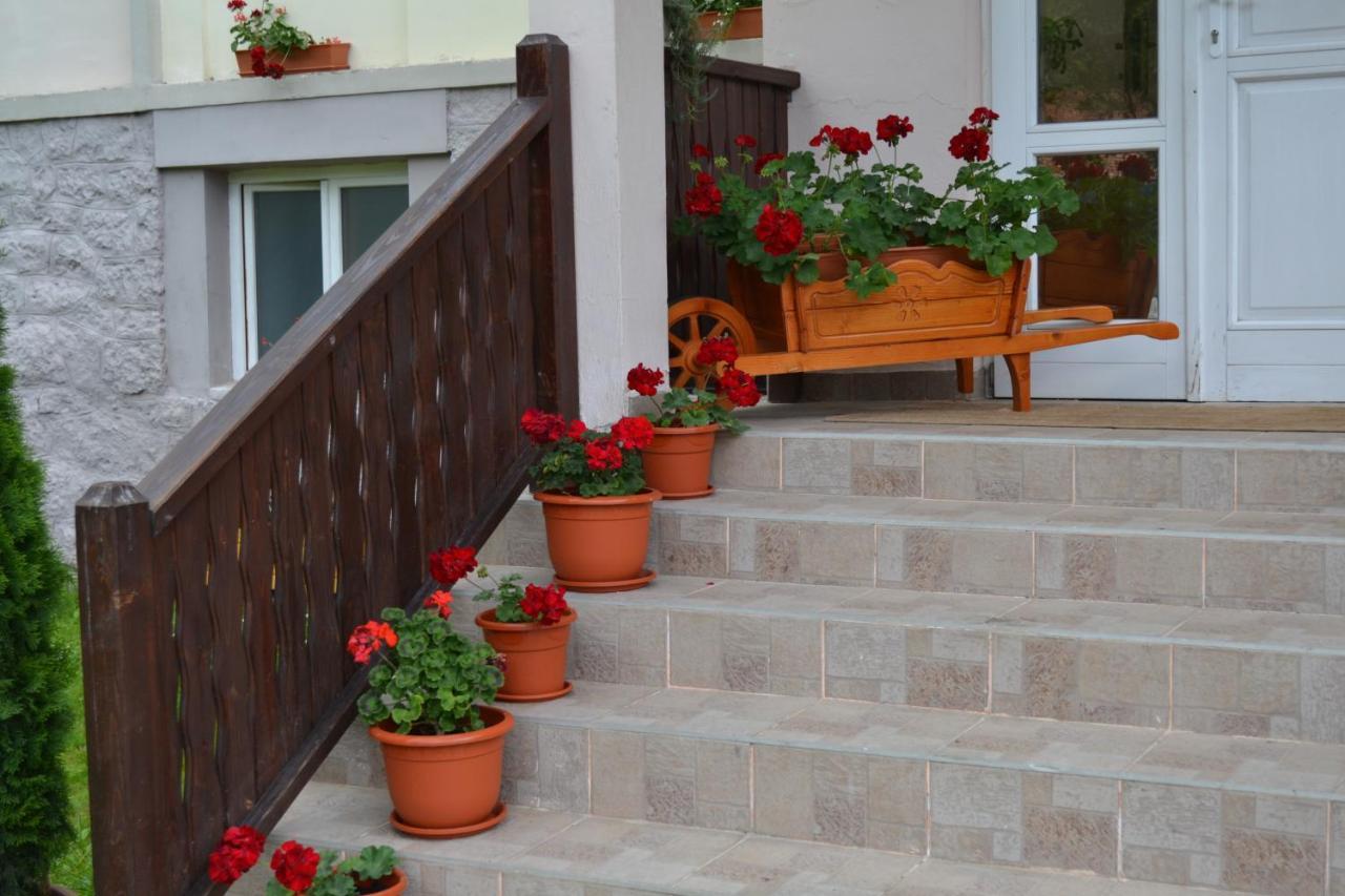 Pension Rose-Trandafirul Borsec Exteriér fotografie
