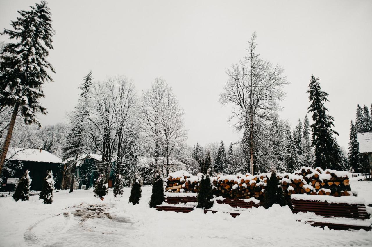 Pension Rose-Trandafirul Borsec Exteriér fotografie